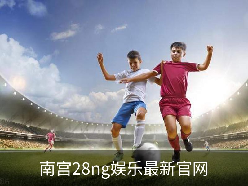 南宫28ng娱乐最新官网概况